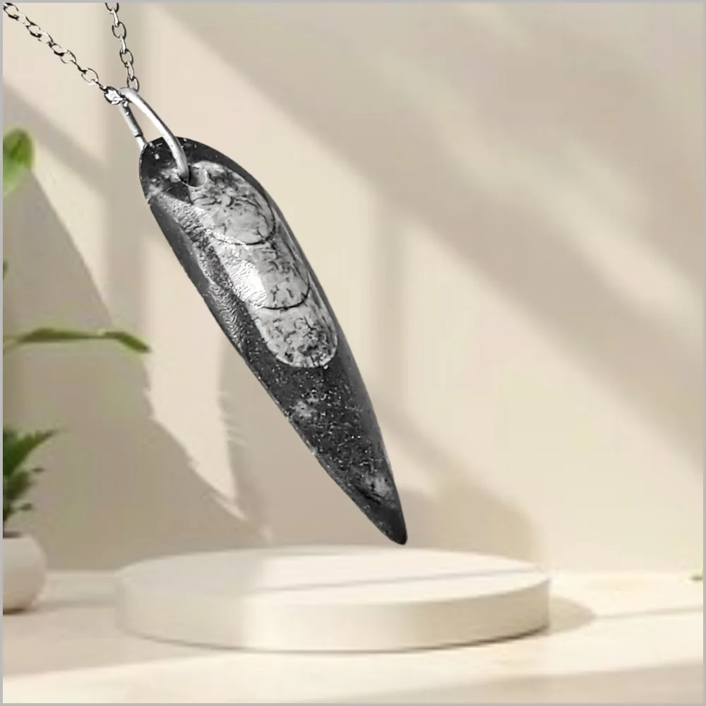 Genuine Orthoceras Fossil Pendant with Stainless Steel Necklace